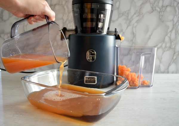 ricetta granita fatta in casa con l'estrattore