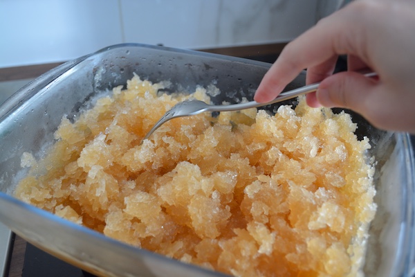 ricetta granita fatta in casa con l'estrattore